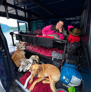 Disc-O-Bed Van Life Bunk Bed